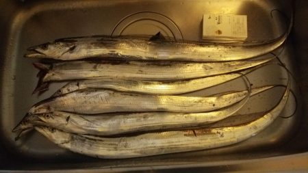 ワインドタチウオちょっと浮き釣り